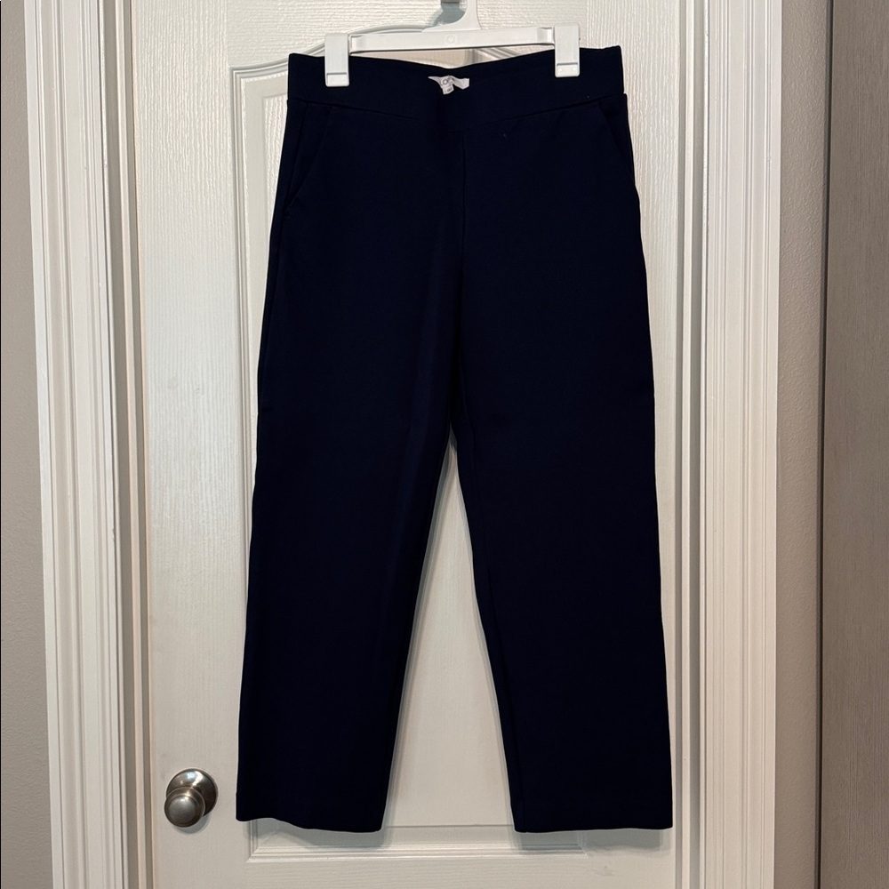 LOFT Navy Women's Pants